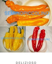 90 Semi Peperone Corno Rosso