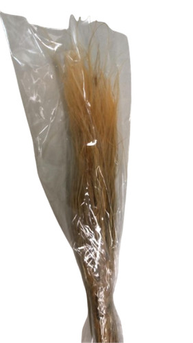 Stipa pennata 50cm arancio - stipa,
