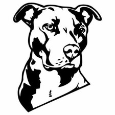 Kit 2 adesivi tuning PITBULL 02 dog cane pit bull decal
