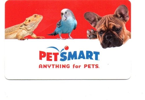 Petsmart cute dog parakeet - cute,