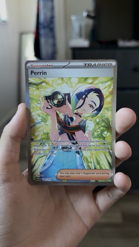 Perrin 220 167 - sv06:, twilight