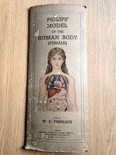 Vintage Beautiful Rare Philips