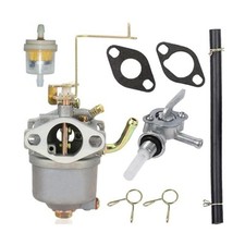 Gruppo Carburatore per Einhell