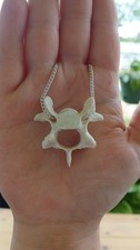 Collana con vertebre di