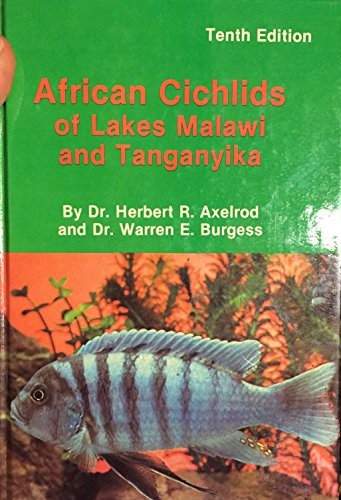 African cichlids lakes - african, of