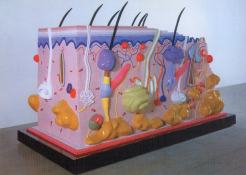 Cartolina damien hirst - cartolina,