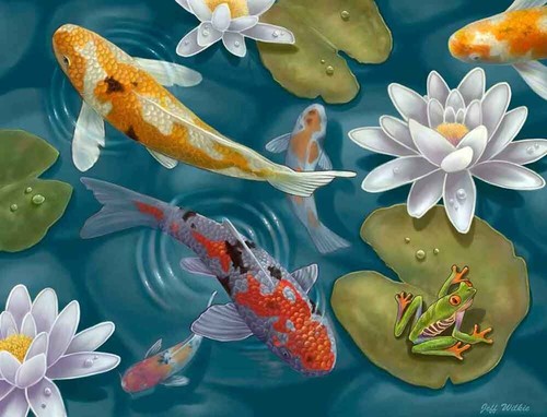 Piastrella koi fish accent - piastrella, &