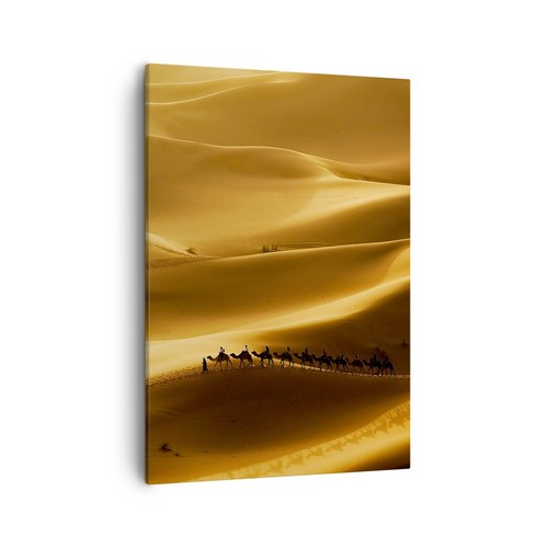 Quadro tela 50x70cm africa - su,