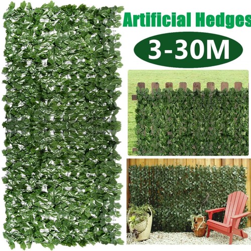 Siepe oscurante 1x3m - siepe,