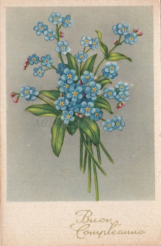 Buon compleanno fiori - buon,