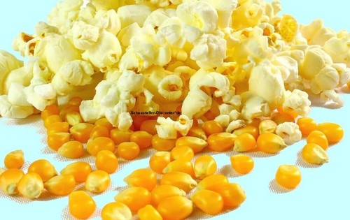 Mais popcorn premium - kg,