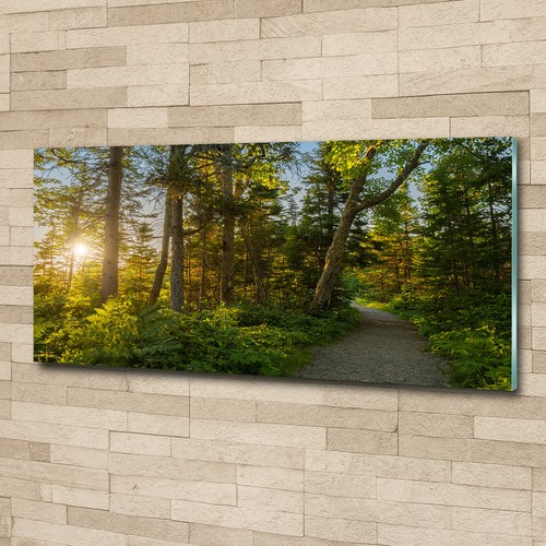 Quadro stampa vetro - quadro, art