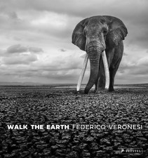 Federico Veronesi Walk the