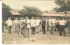 1910 ca FRANCE Ufficiali di fanteria in cascina con i tori *Foto