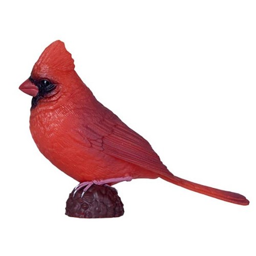 Cardinale rosso