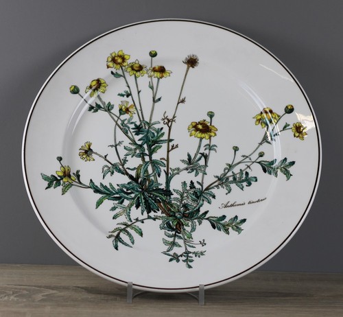 Villeroy boch b botanica - &,