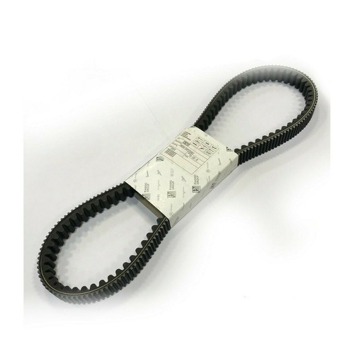 Trasmissione originale cinghia - originale,