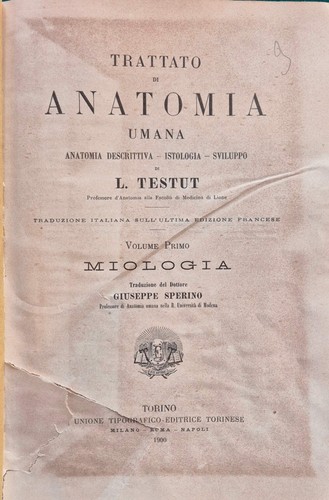 Trattato anatomia umana - di,