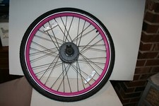 New Enviolo CVP Internally