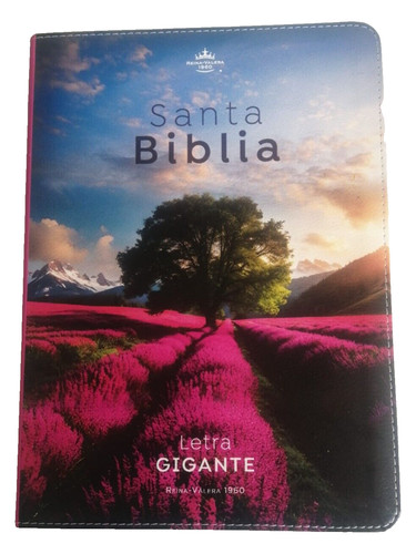 Bibbia regina valera - bibbia,