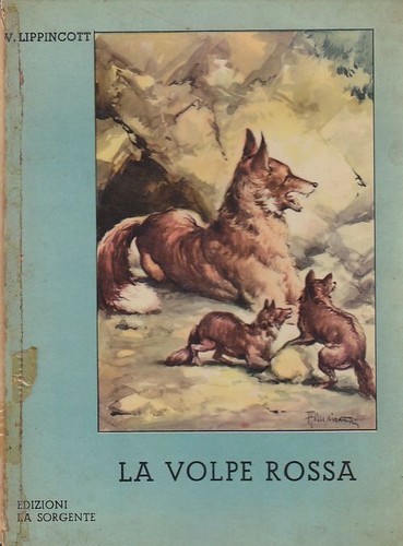 Volpe rossa lippincot - rossa, di
