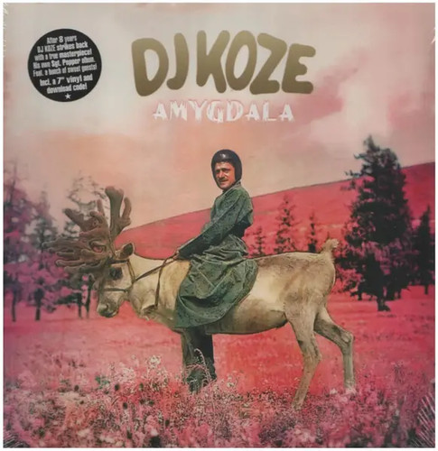 Koze amygdala bonus - dj,