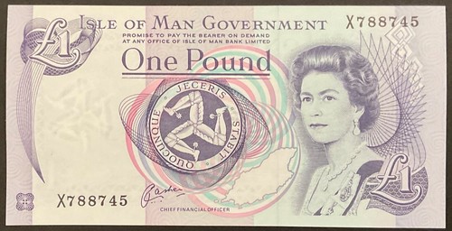 Pound isle man - man, government