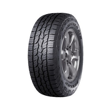 265 r16 112 dunlop - dunlop,
