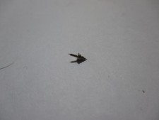 Orologio da tasca Unruhewelle