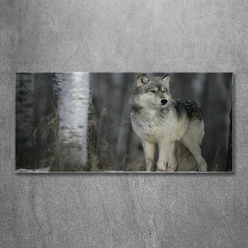 Quadro immagine arte - da, parete