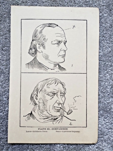 Comparison phrenology - comparison,