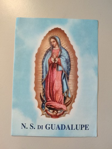 Nostra signora guadalupe - signora,