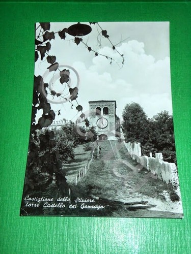 Cartolina castiglione delle - cartolina,
