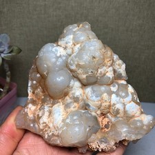 Raro Bonsai di Suiseki Gobi