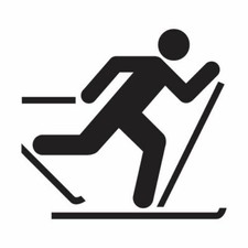 Kit 2 adesivi tuning SCI DI