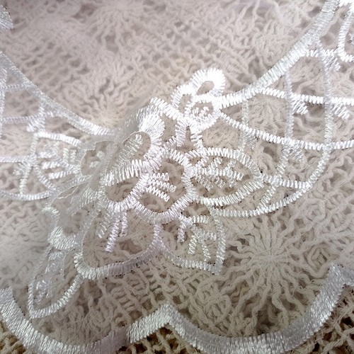 Organza ricamato - 4x,