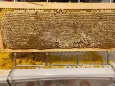 Miele millefiori Nostrano al