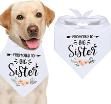 Bandana Cane Dog White Wedding