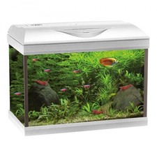 Acquario completo Amtra Basic LED 40 bianco 25 Lt 42,5 × 23,5 × 33 cm h    