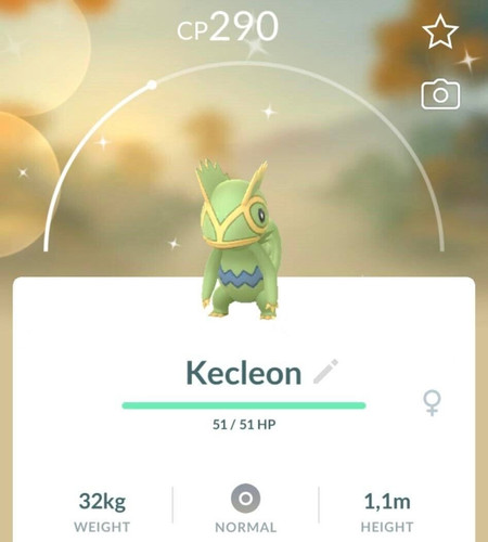Shiny kecleon t - t, 80k