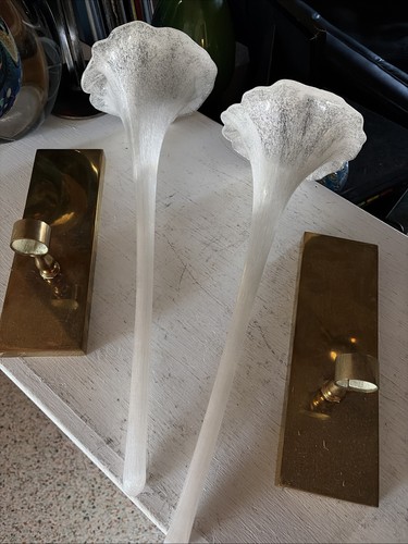 Coppia applique portafiori