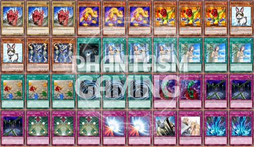 Mazzo dino coniglio macro - mazzo,