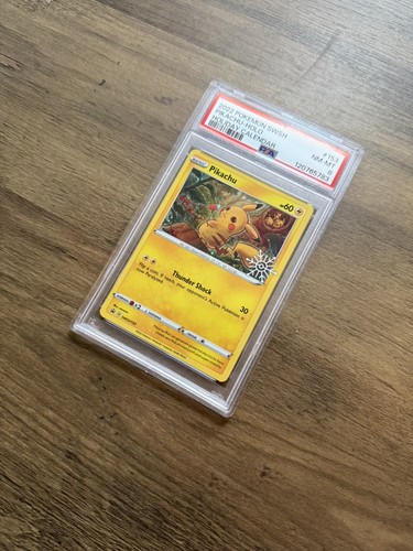 2022 pokemon holiday - 2022,