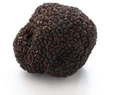 Tartufo Nero Estivo Scorzone