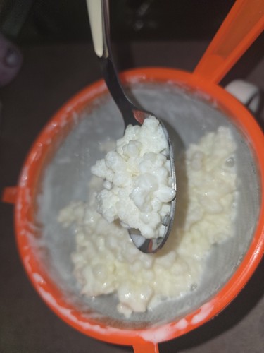 Grani kefir biologici - di,