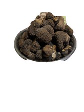 Tartufo nero estivo fresco - estivo,