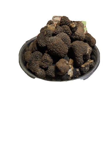 Tartufo nero estivo fresco - estivo,