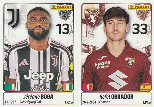 Figurina panini calciatori - figurina,