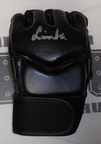 Guanto mma firmato livia - firmato,