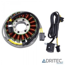 ✅ STATORE ALTERNATORE per